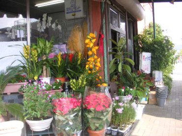 「花のイシカワ」　（静岡県沼津市）の花屋店舗写真1